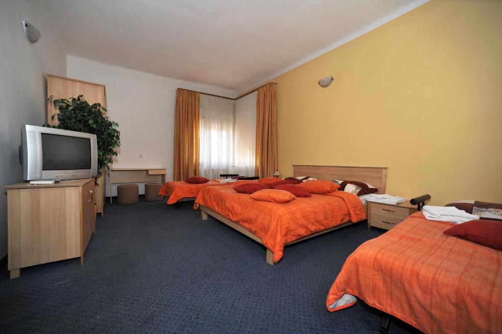 Jelen 1887 Bed & Breakfast Ljubljana